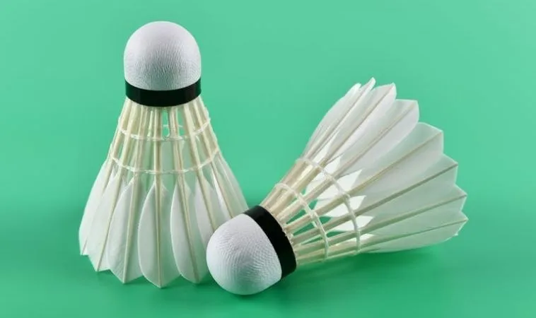 Hướng Dẫn Cách Chơi Cá Cược Cầu Lông Tại Vin68 Chi Tiết Cho Tân Thủ 1 Cầu Lông Tại Vin68