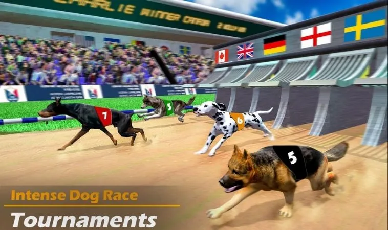 Cách chơi game nhanh Đua Chó Ảo Vin68